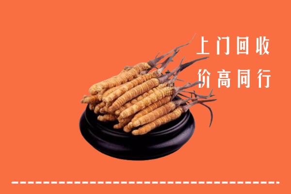 高价求购：濉溪县回收散虫草