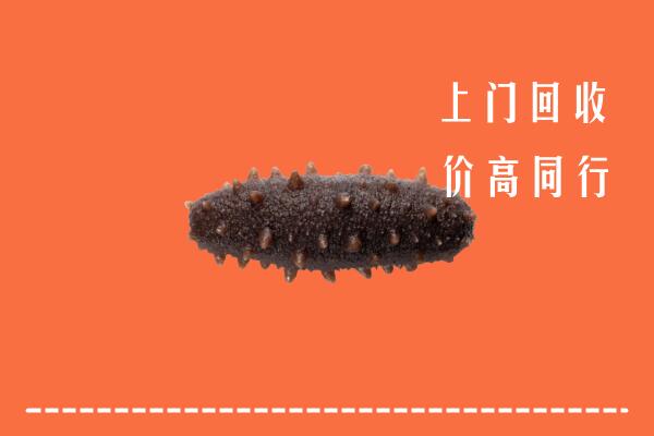 濉溪县回收海参