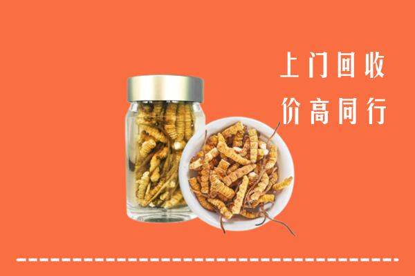 濉溪县回收冬虫夏草